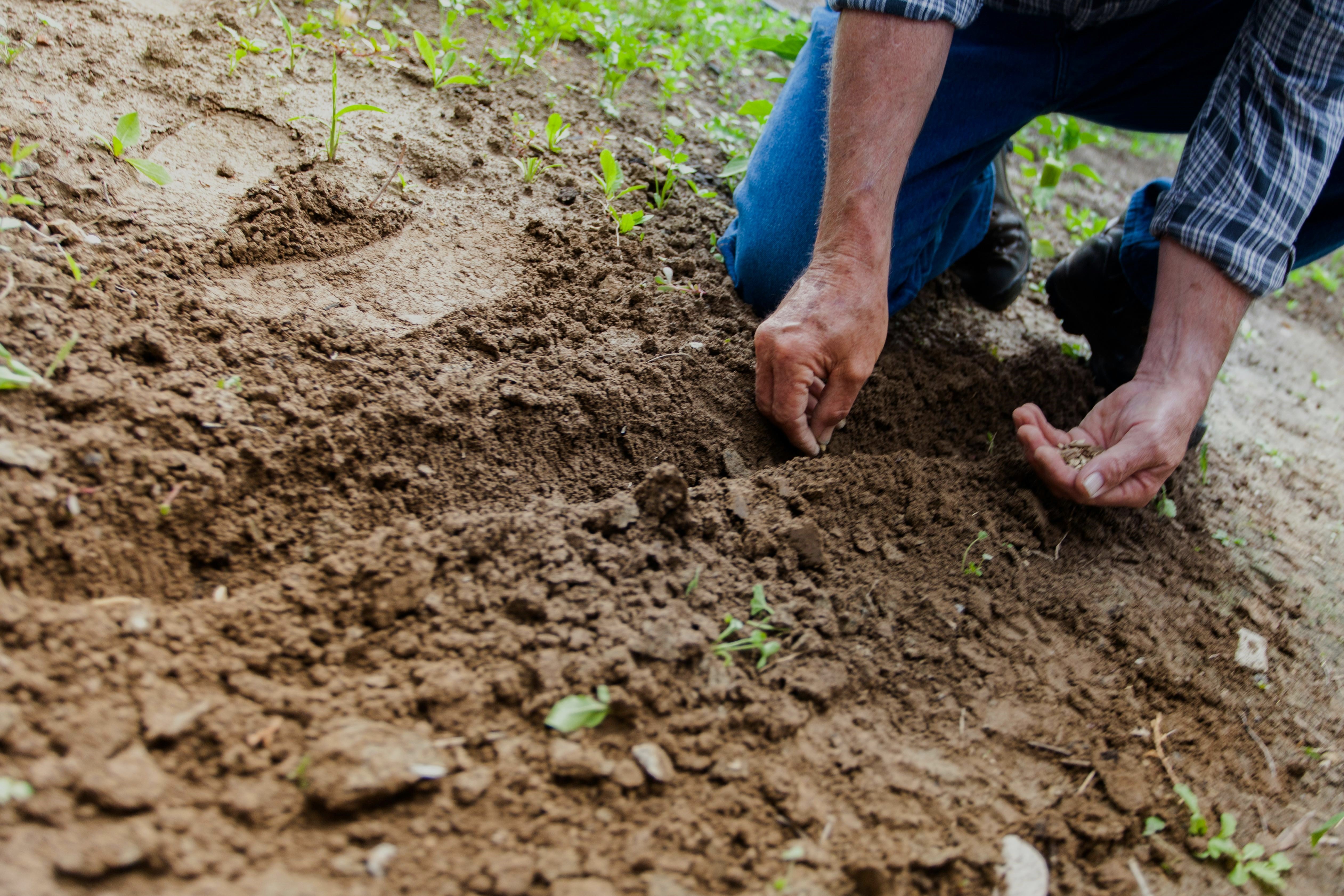 Soil Health - Why it matters for our planet and our products!